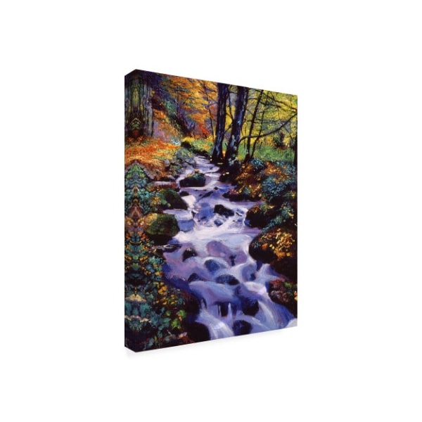 David Lloyd Glover 'Watersounds In Fall Forest' Canvas Art,18x24
